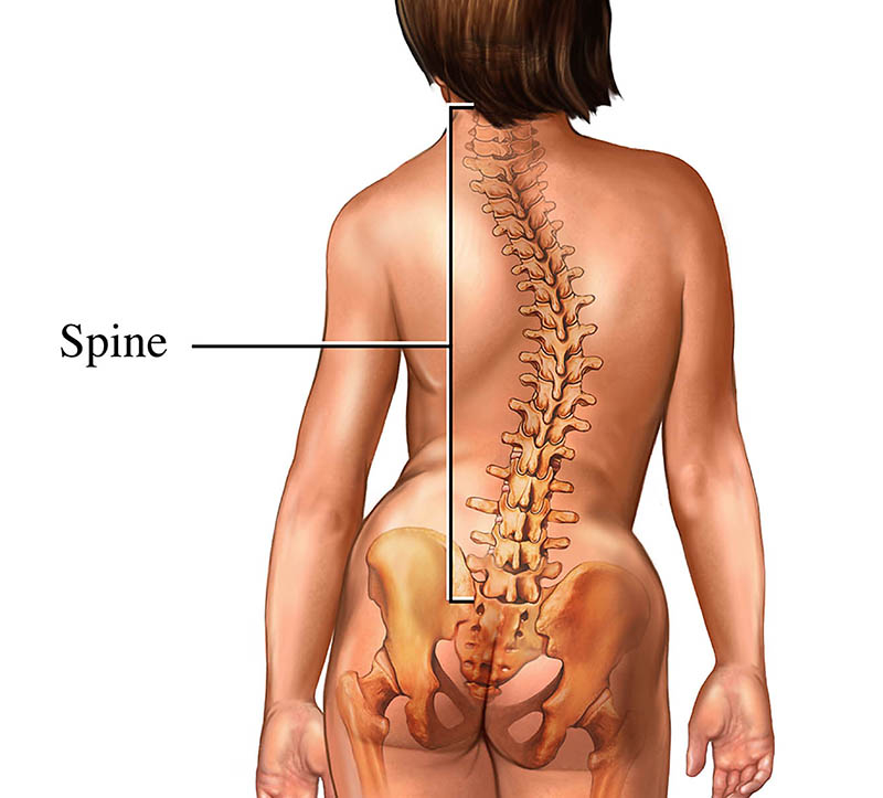 Dr. Manoj Kumar - Best Scoliosis Doctor in Gurgaon Best Scoliosis Doctor in Gurgaon | Dr. Manoj Kumar