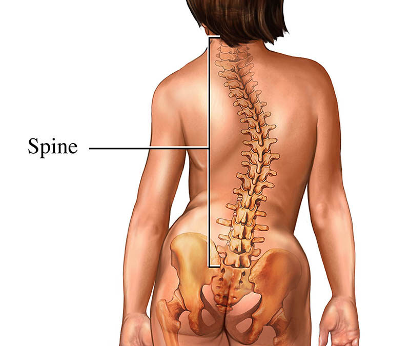 Best Scoliosis Doctor in Delhi NCR