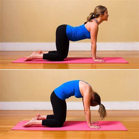 Cat Cow Exercise | Best Exercises to strengthen your spine Cat Cow Exercise | Best Exercises to strengthen your spine | Dr. Manoj Kumar
